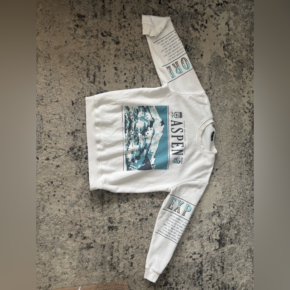 Vinyl Icons Aspen sweatshirt